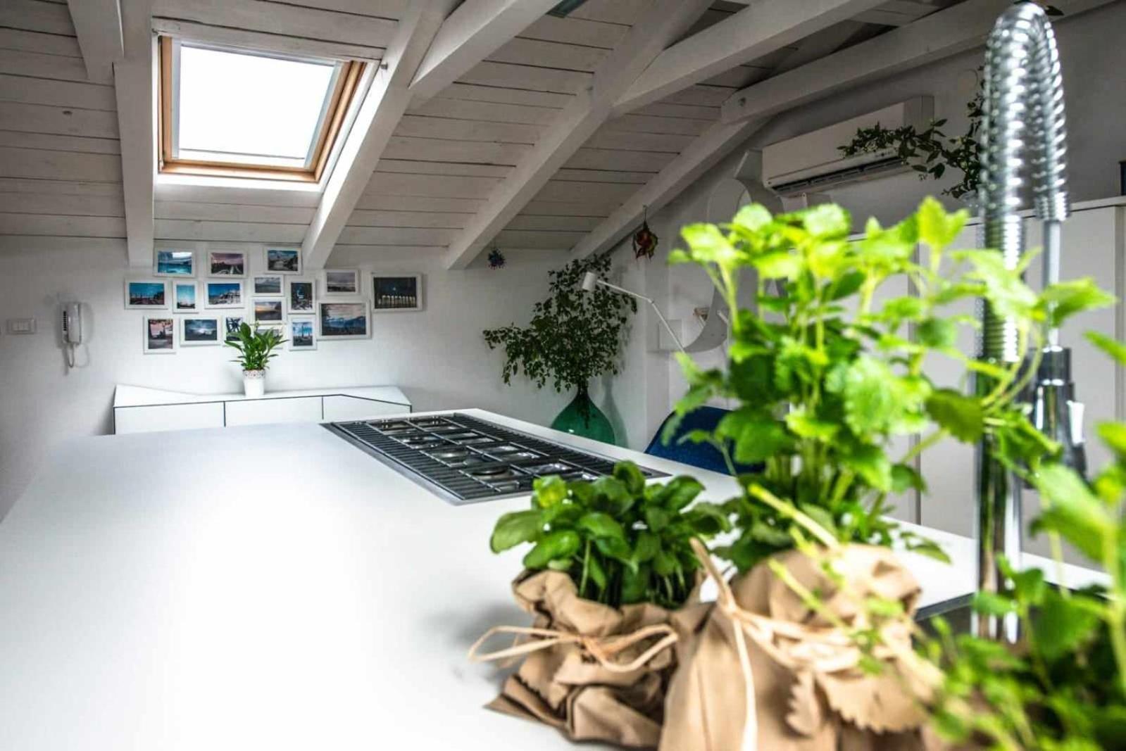 Appartement Beautiful Sunsets Over The Roofs Of Rovinj Extérieur photo